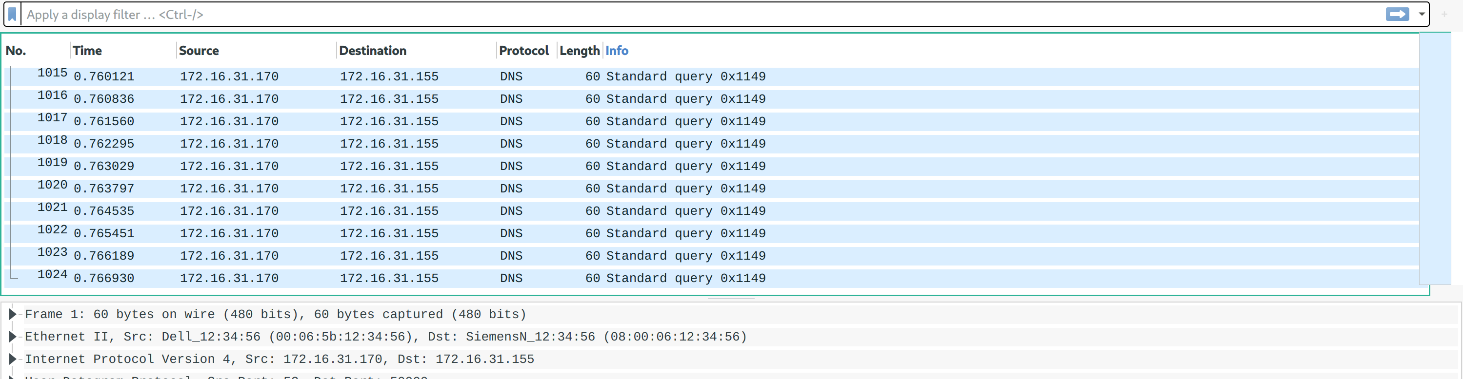 dns